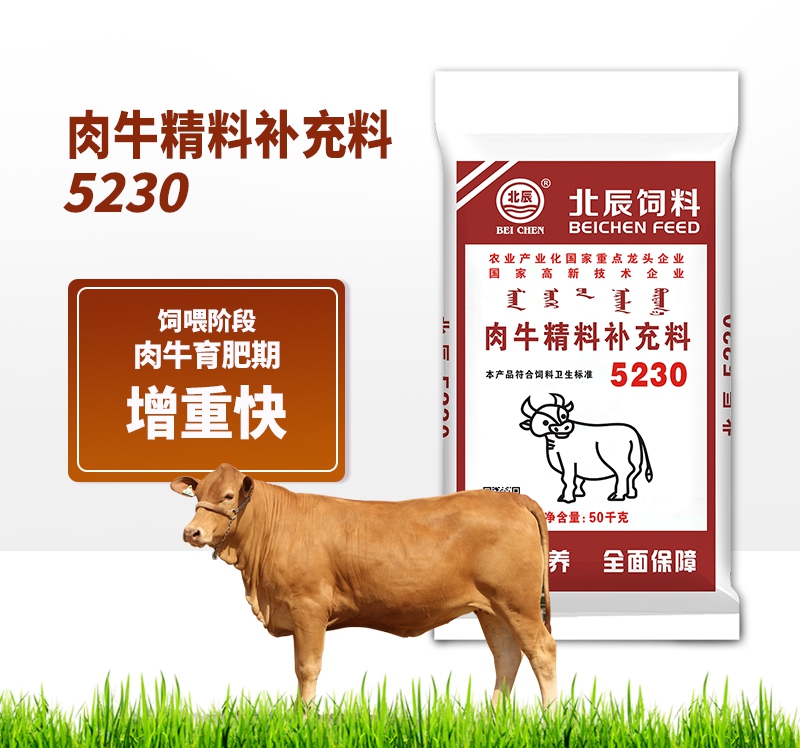 贵阳肉牛精补料5230